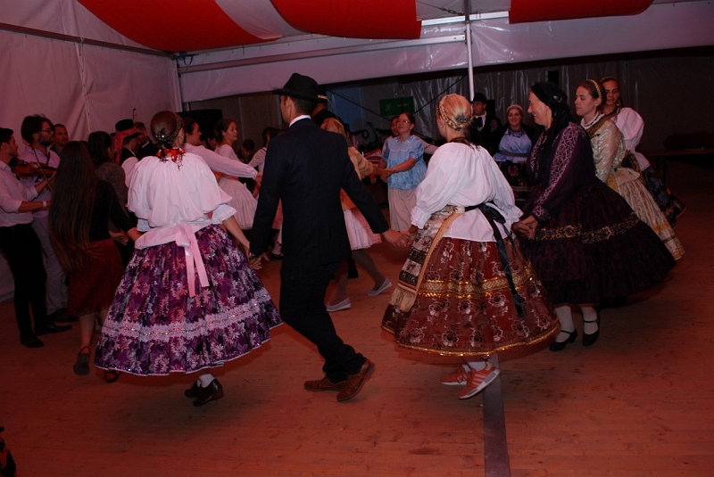 DSC_2367 (Medium).JPG